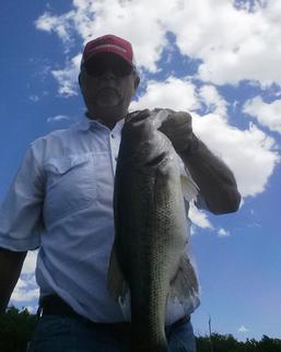 Drop Shot Bass